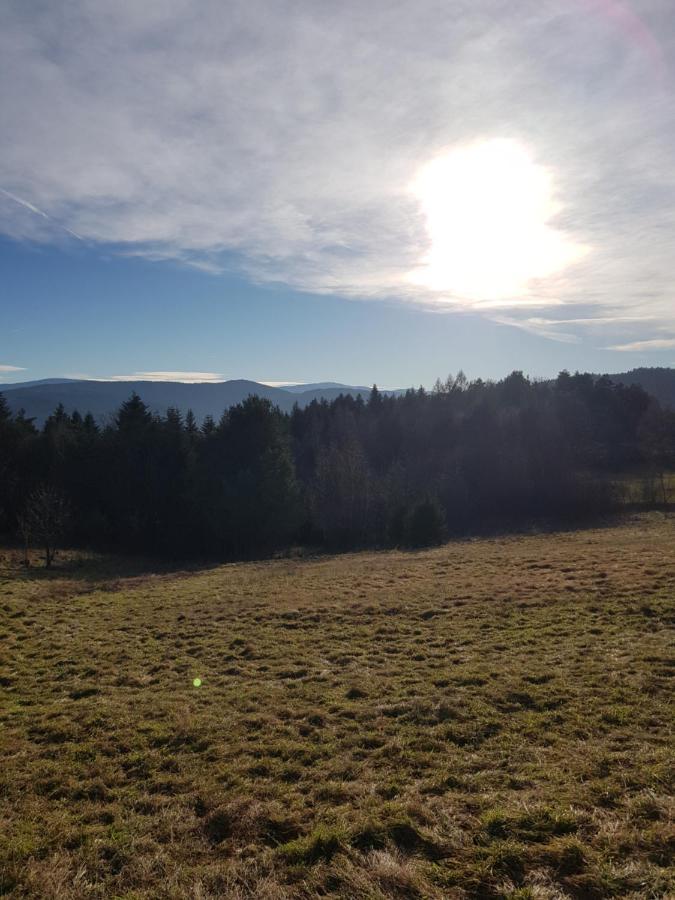 Domek Na Folwarku Tarnawa Dolna  Bagian luar foto