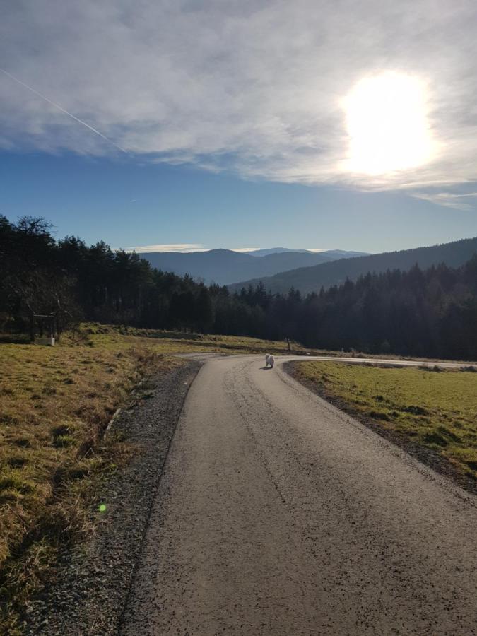 Domek Na Folwarku Tarnawa Dolna  Bagian luar foto