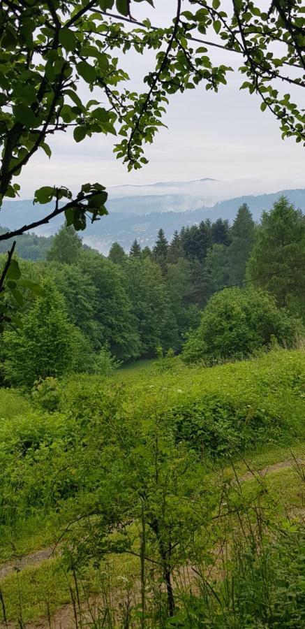 Domek Na Folwarku Tarnawa Dolna  Bagian luar foto