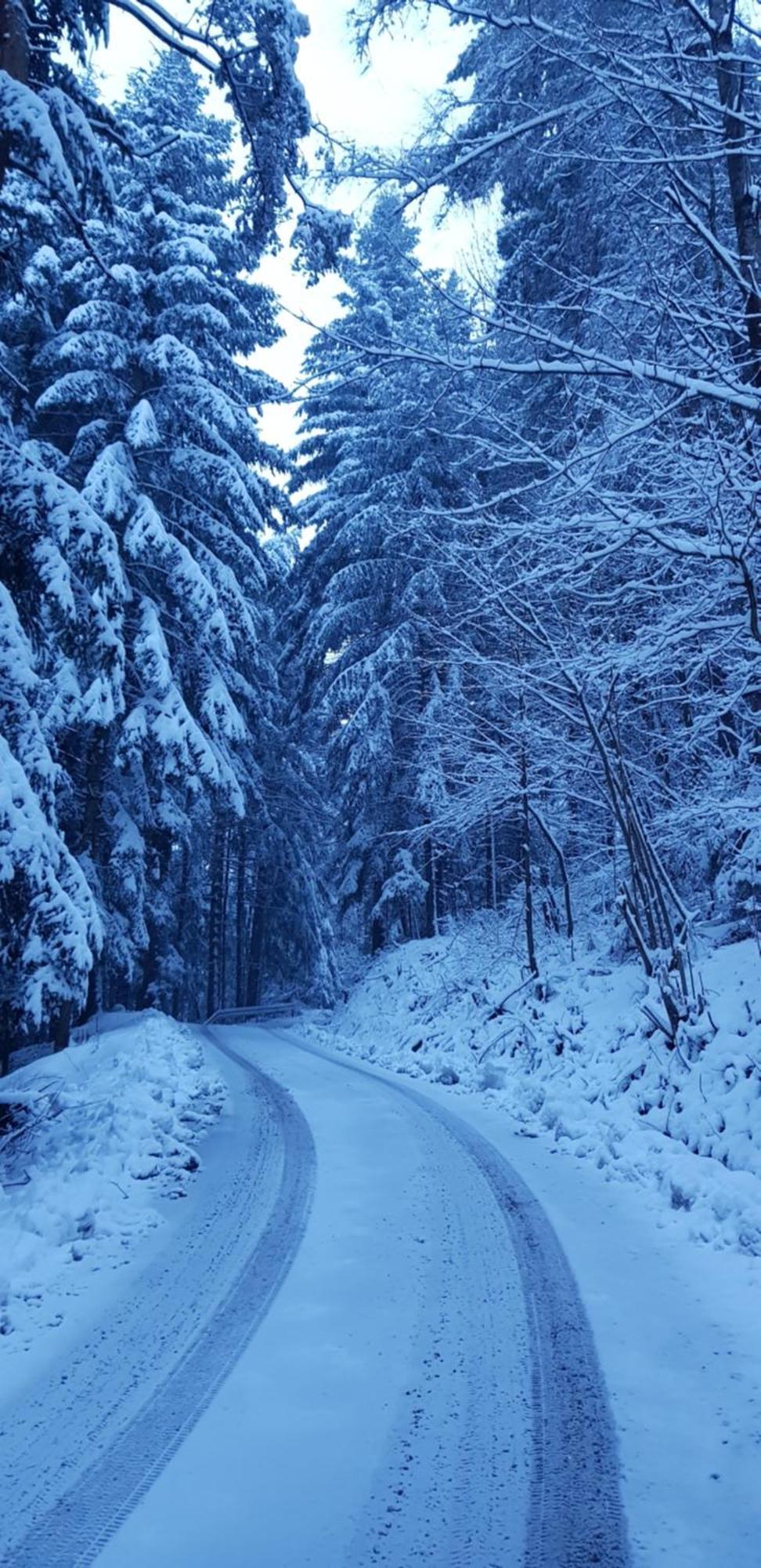Domek Na Folwarku Tarnawa Dolna  Bagian luar foto